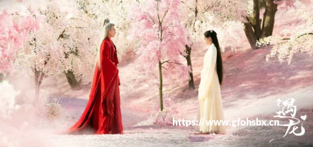 800万前摄+强续航 荣耀畅玩5A全面评测